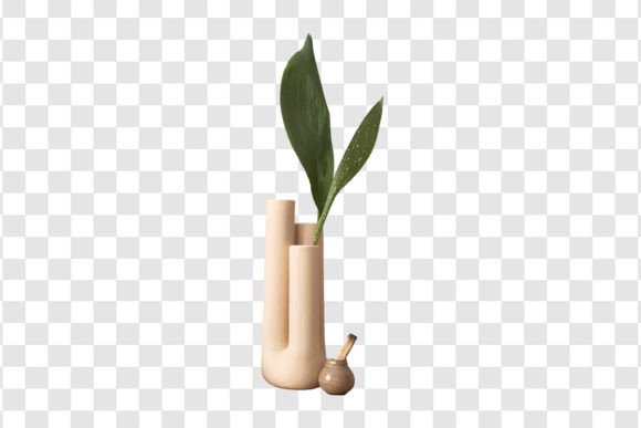 1904 Beige Decorative Vase with Plant Isolated