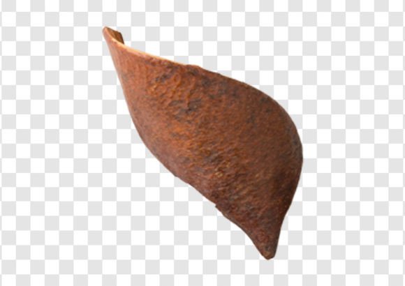 2246 Rusty Decorative Object Isolated