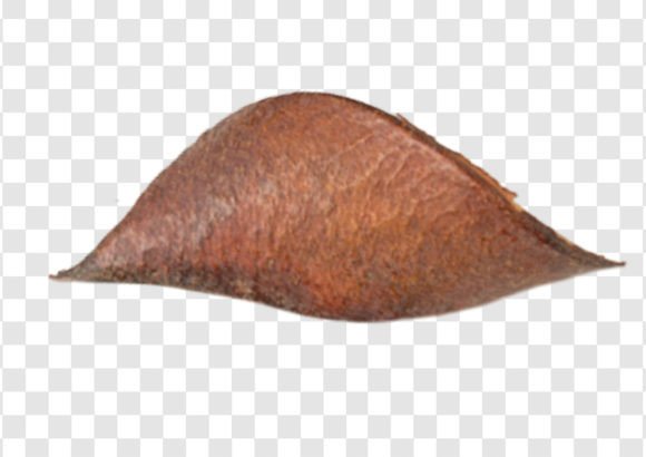 2258 Rusty Decorative Object Isolated
