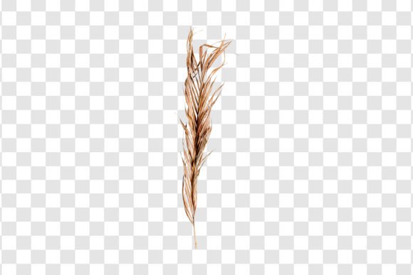 3937 Dried Decorative Branch Isolated: A Versatile Asset for Modern Creatives