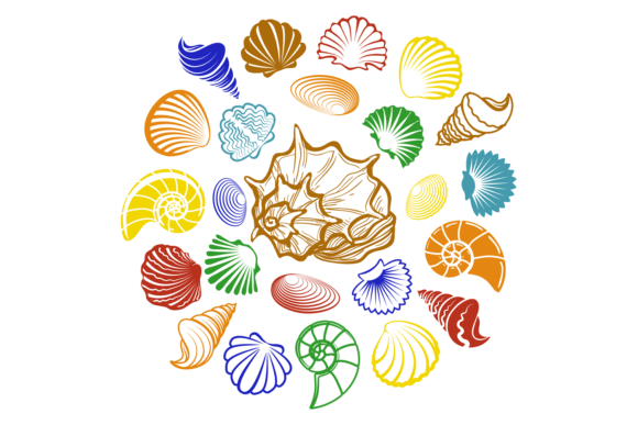 Seashells Round Composition: Decorative Uses and Strategic Value for Creative Projects